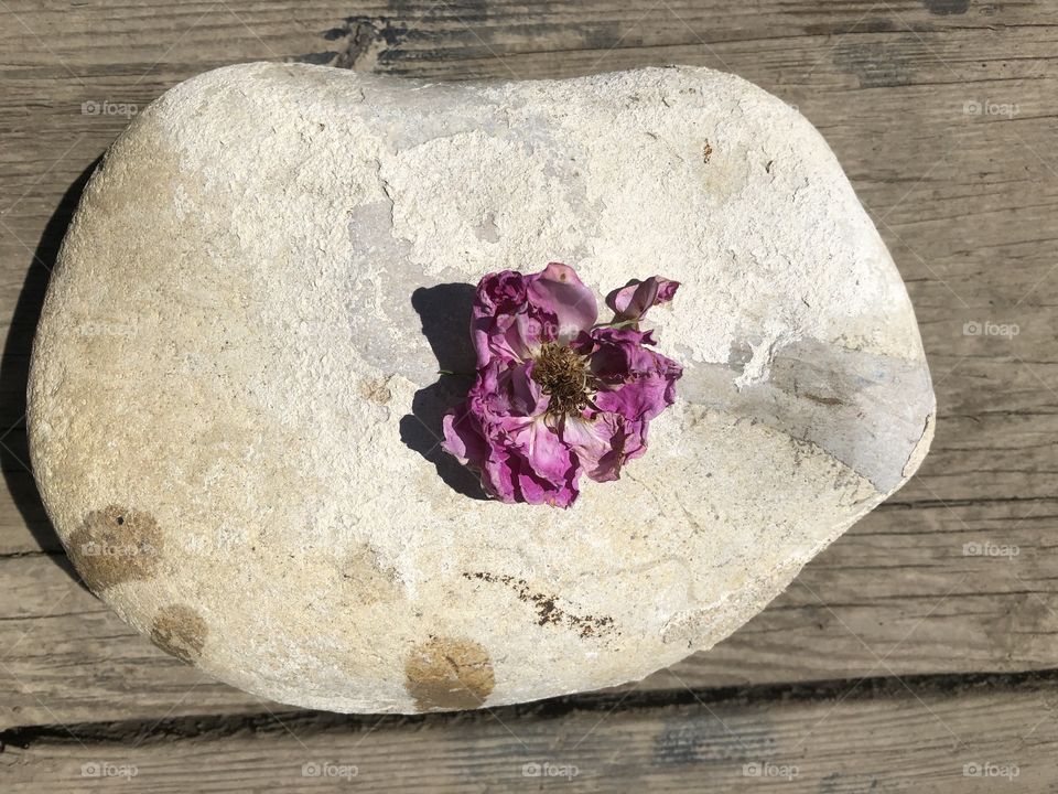 Rose Rock