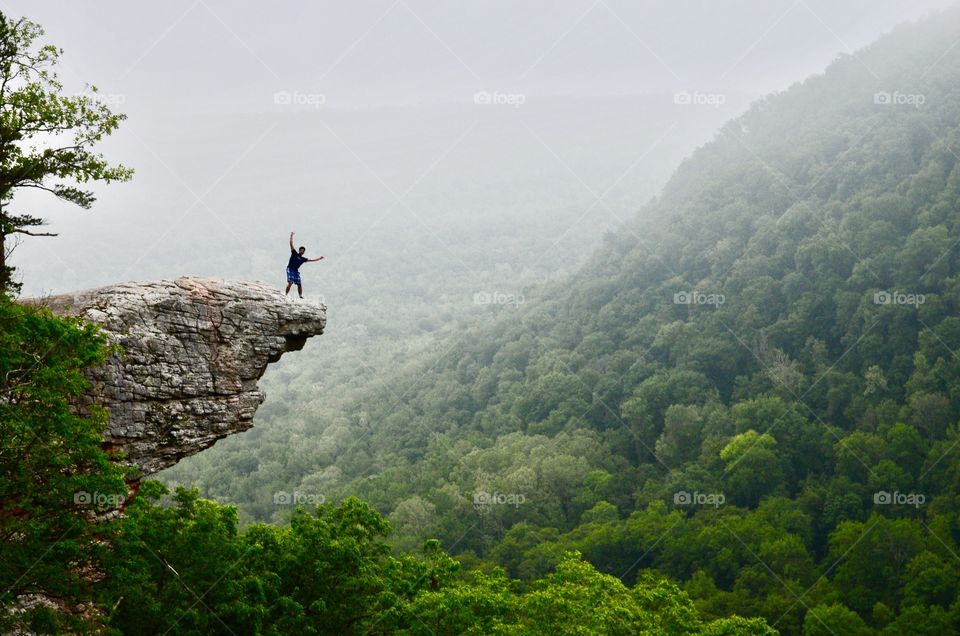 whitaker point fog
