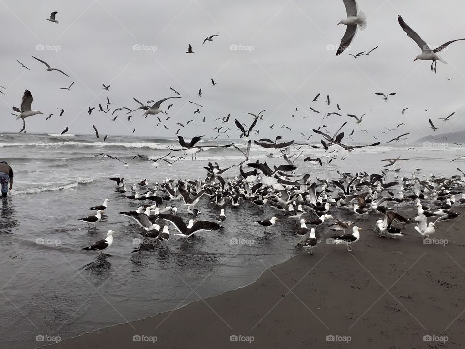 cuando llegan las cajas clap