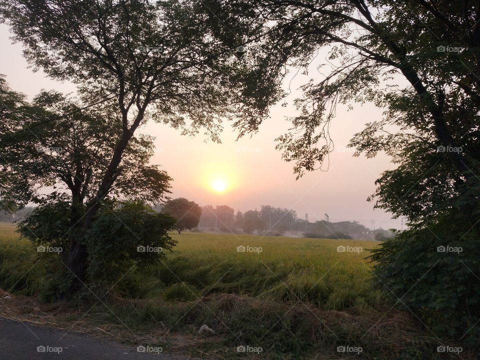 Such a beautiful village scene😍 This is one of my favourites magical hour shots.📸💯