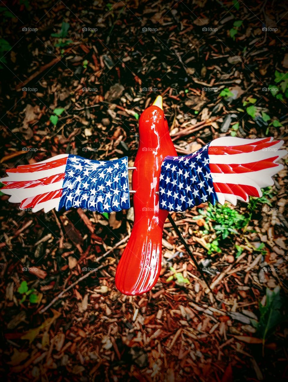 USA Bird