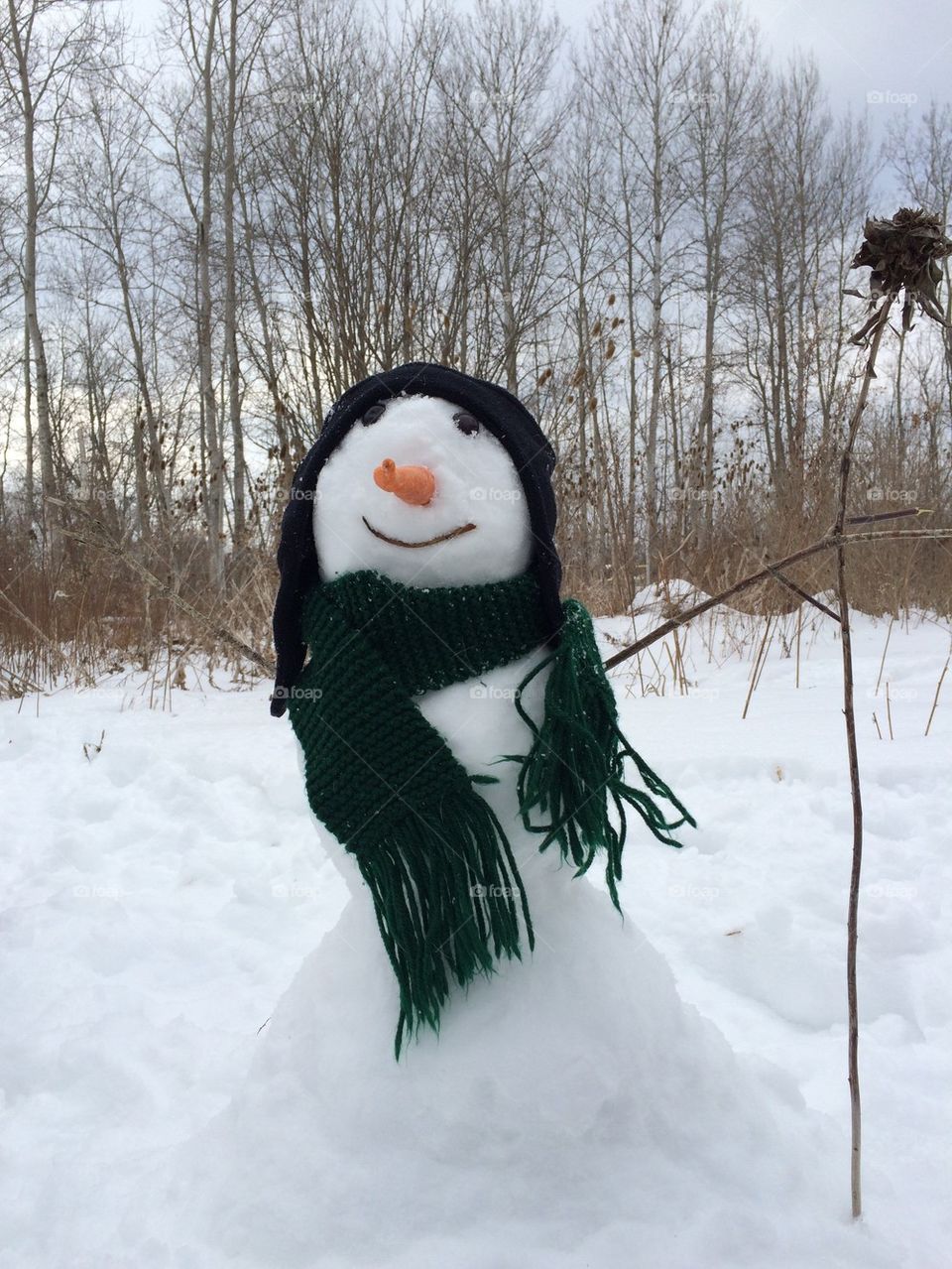 Frank, Frosty's little brother 