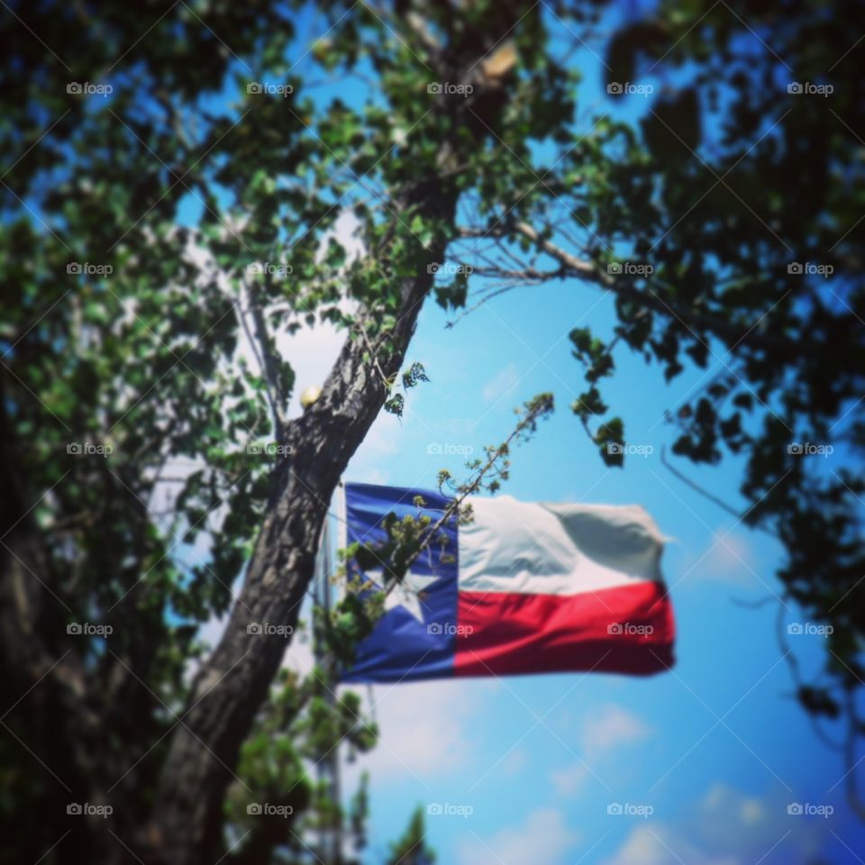 Best state in America bar none