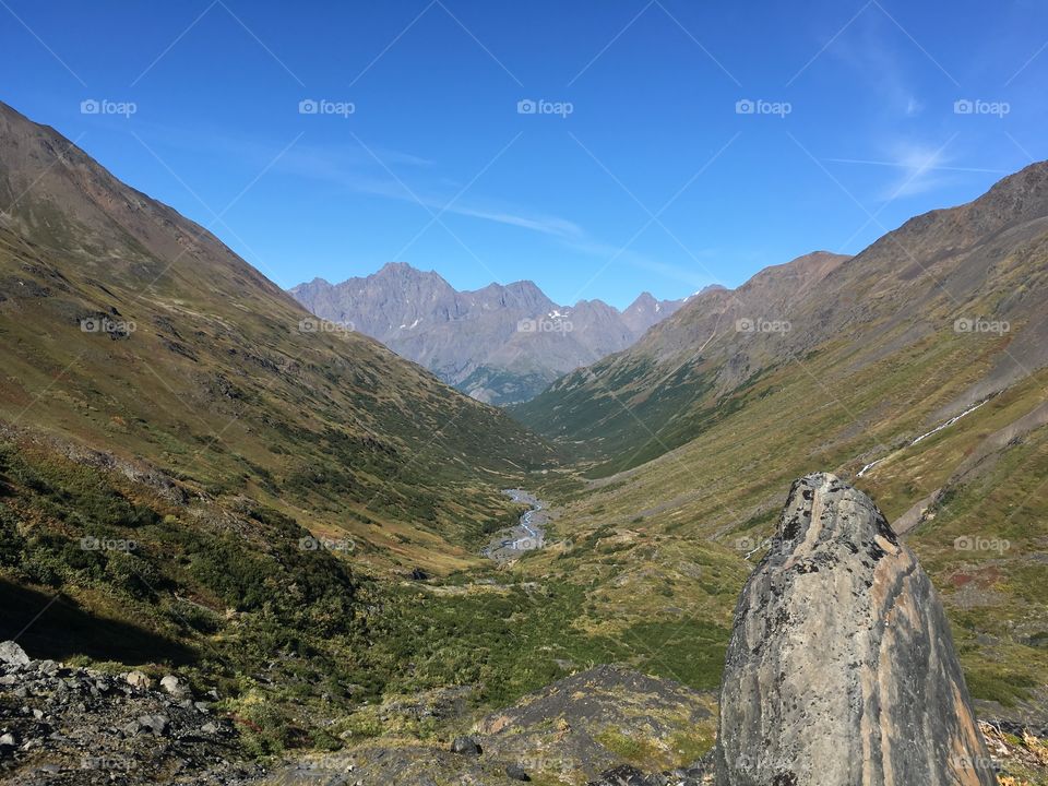 Crow Pass hike in Alaska. This was along the trail.