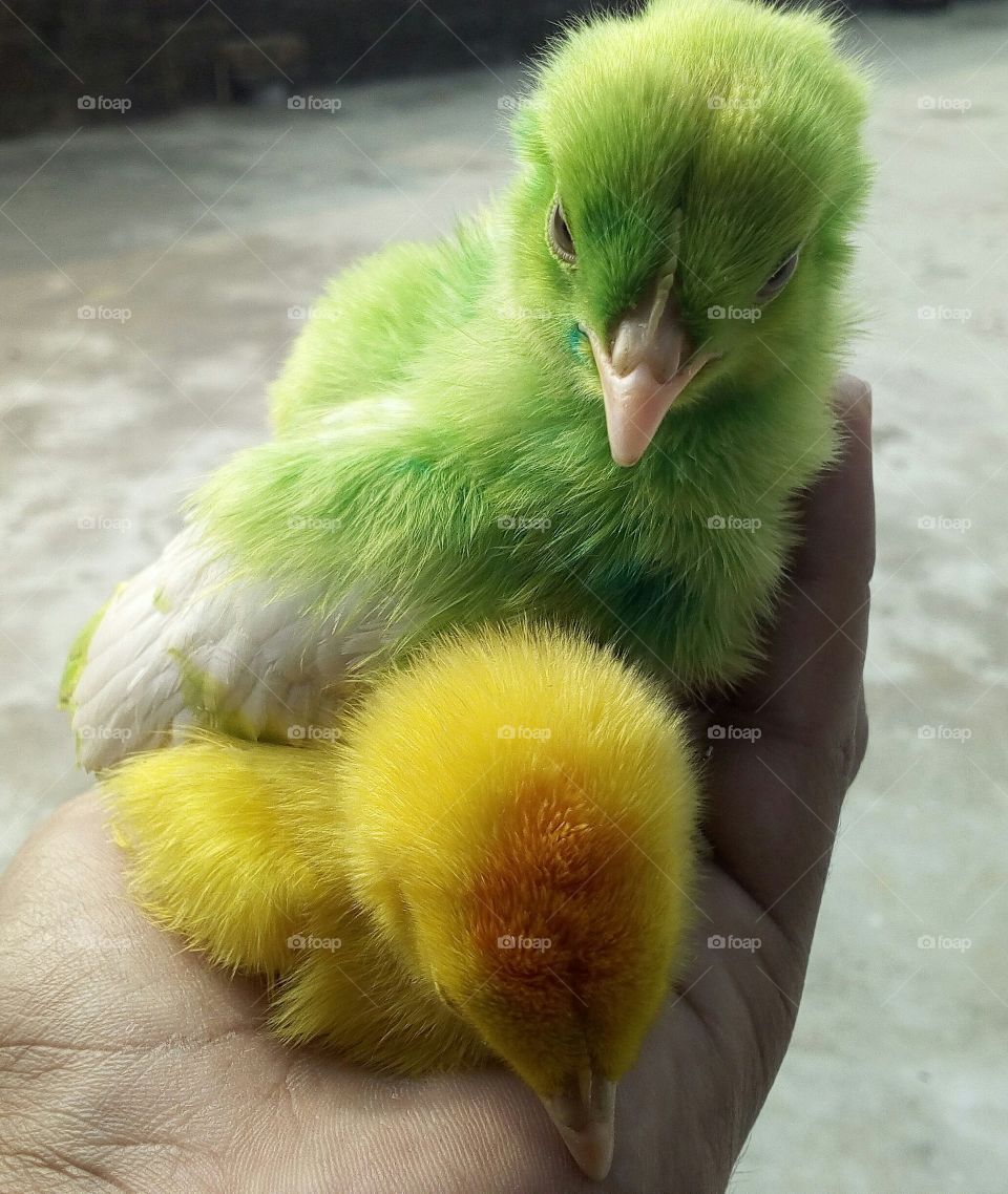 Don't worry I'm here