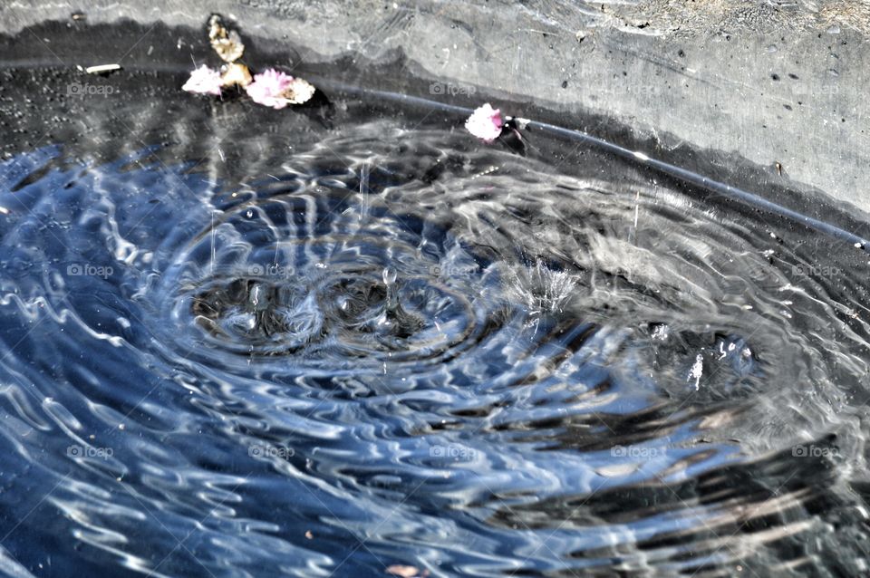 Livestock water trough. 