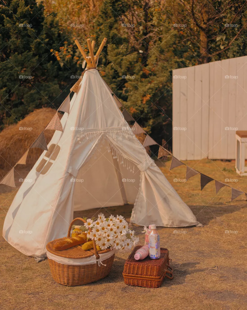 Go camping