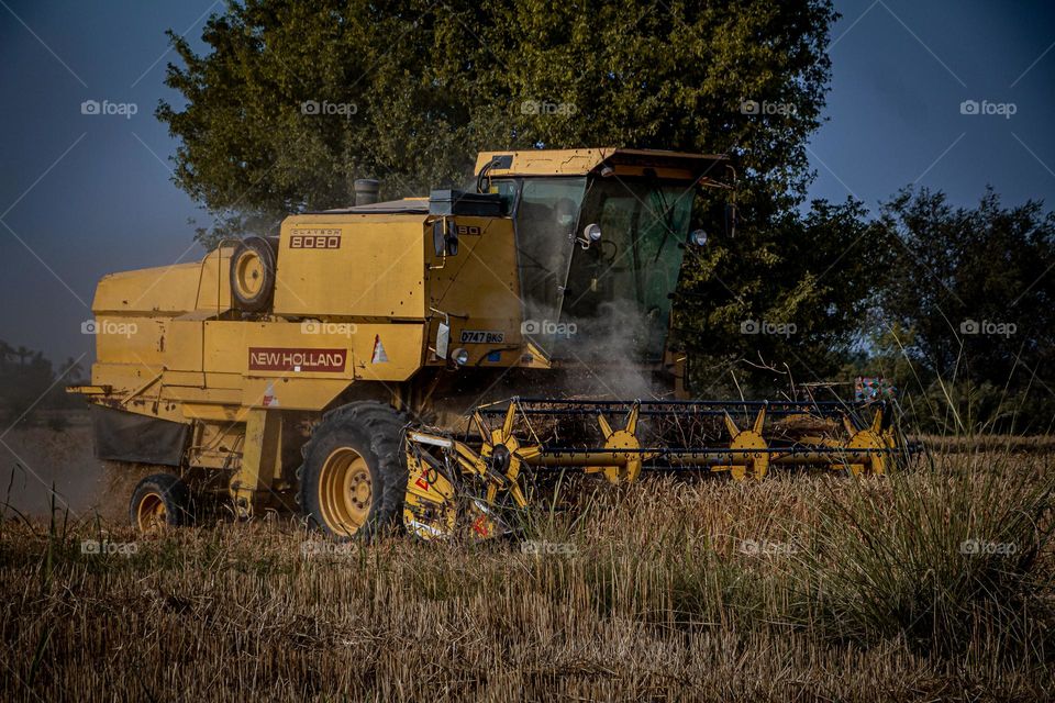 Blue sky and yellow crop cutting machine