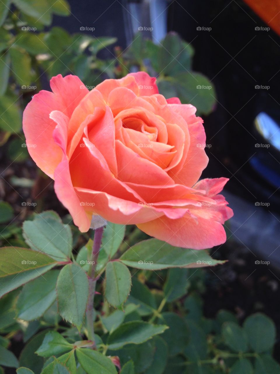 Variations on a Theme 