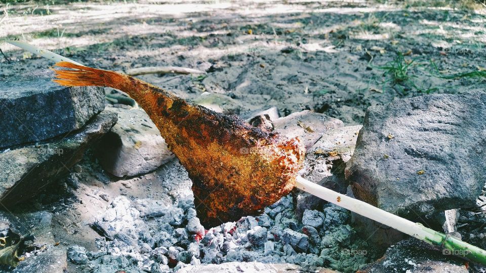 sea ​​bass on charcoal