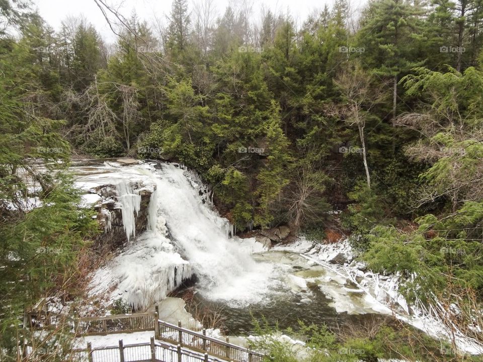 Wintry waterfall and pines