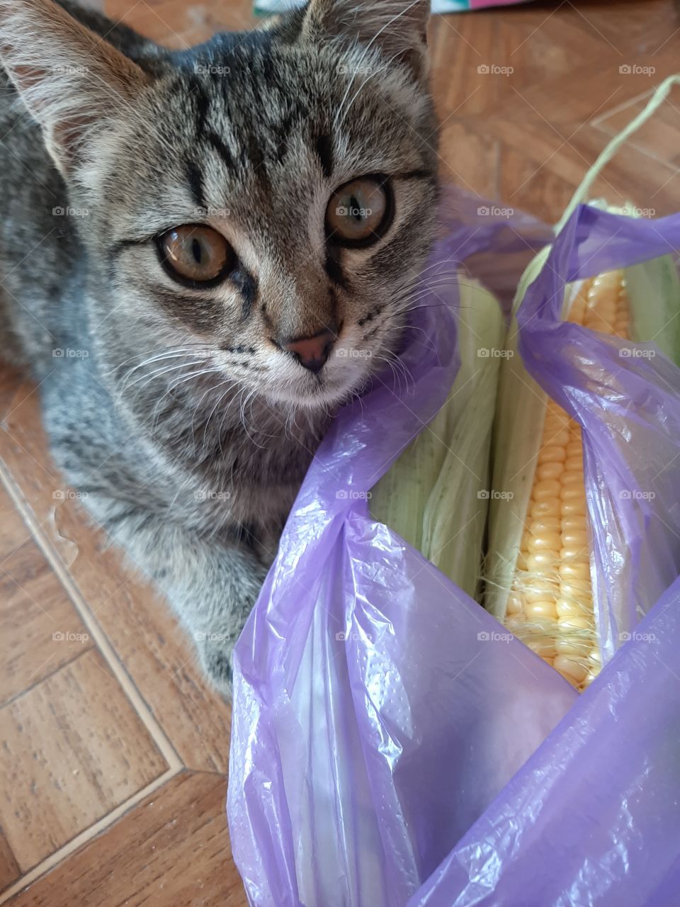 О  господи!  Это  всё  мне?