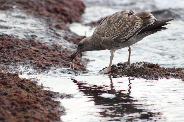 Getting a drink