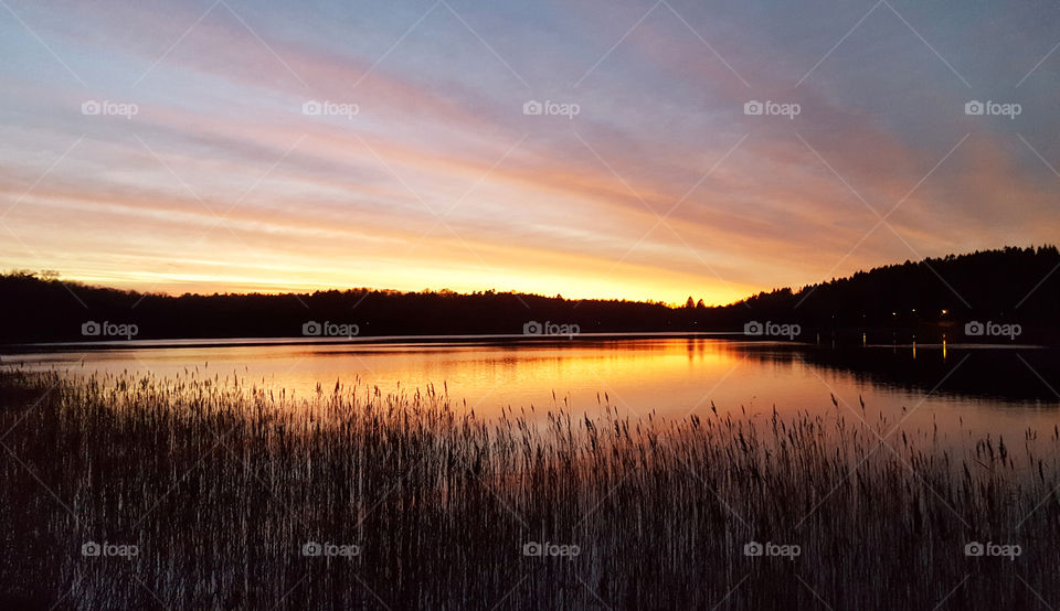 Sunlight reflected in lake