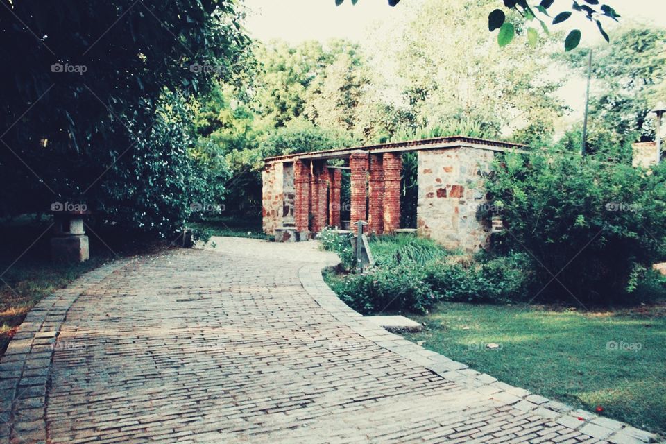 Garden of Five Senses #16