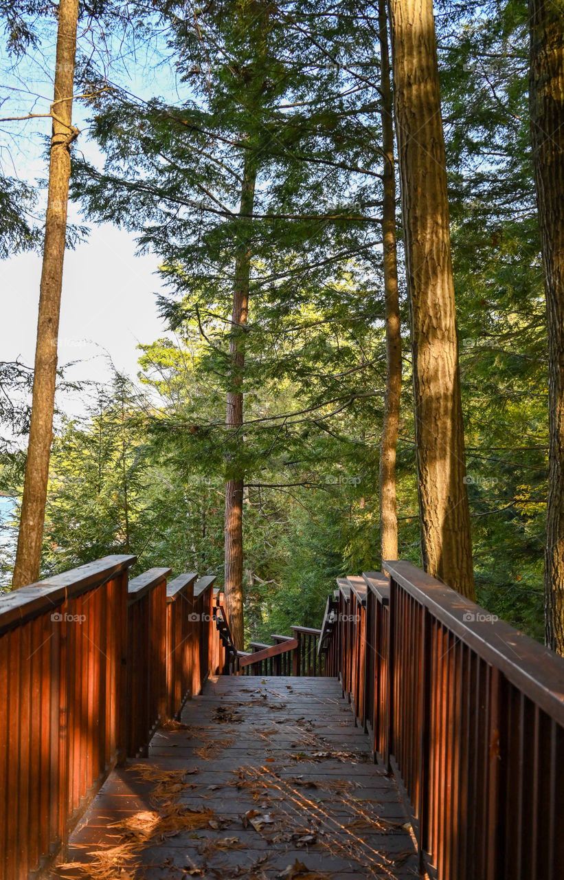 Just over the bridge