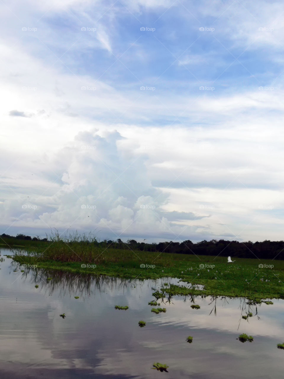 Amazonia Iquitos Peru