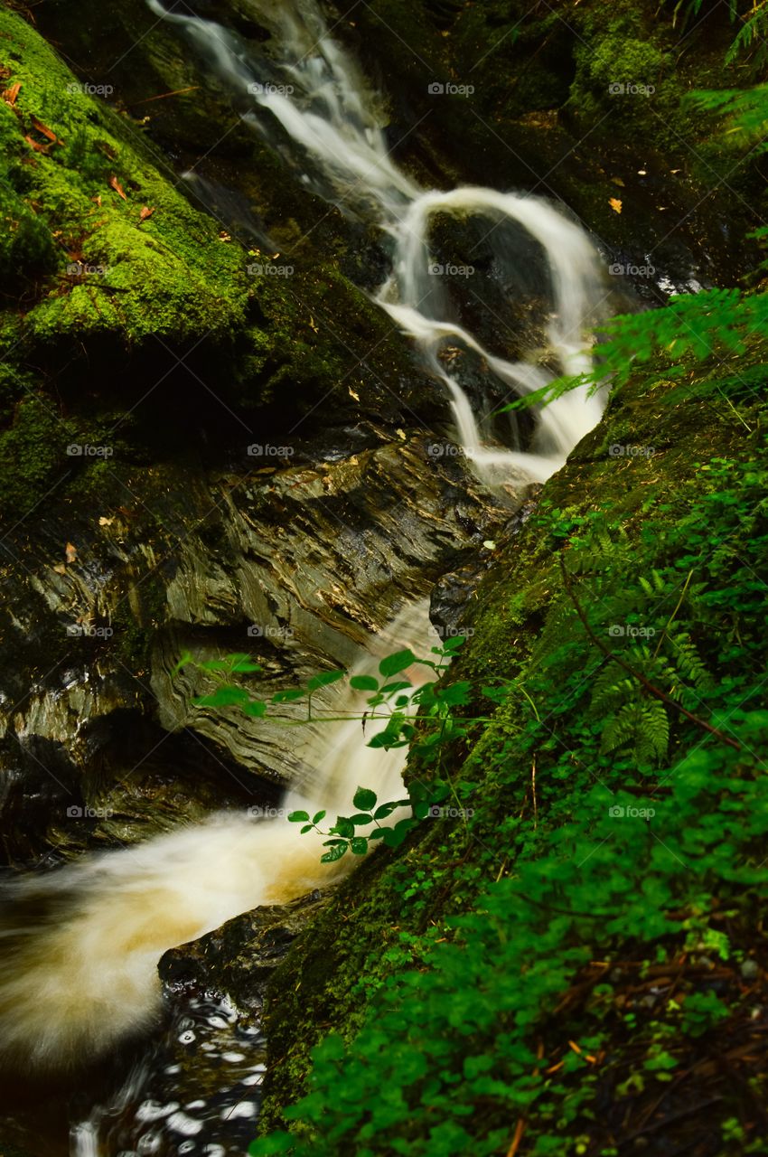 View of waterfall