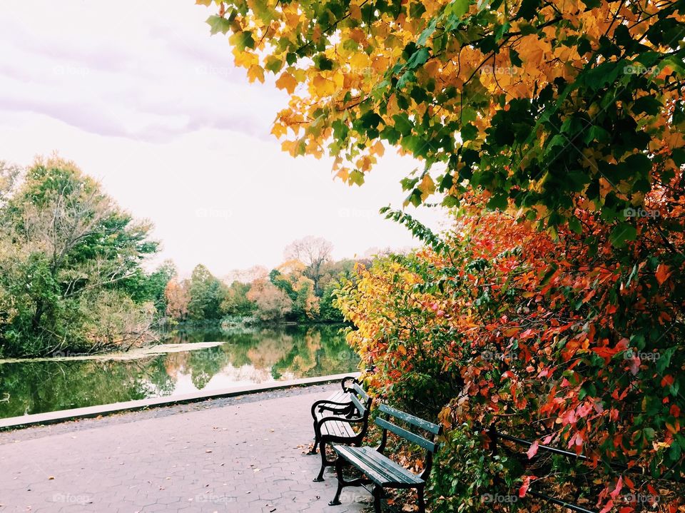 Brooklyn Park in the fall