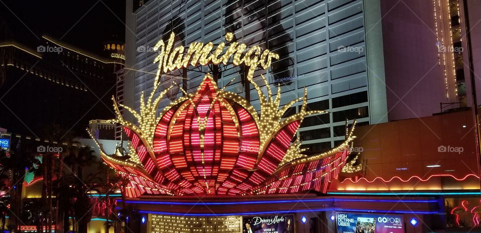 flamingo neon casino sign Las Vegas