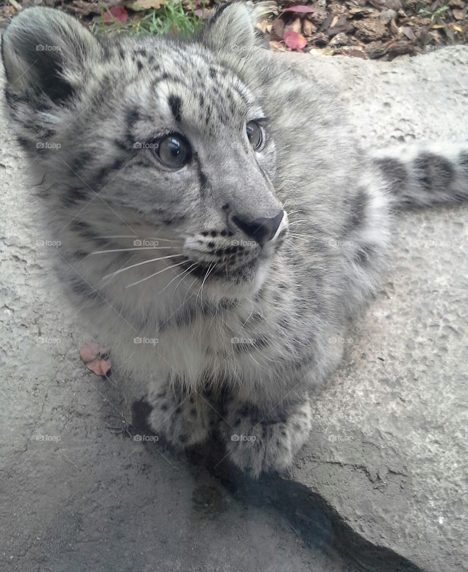 Sossy looking for mom