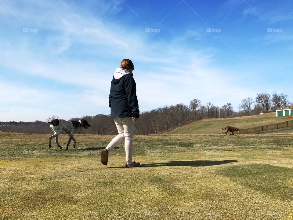 Walking dogs 