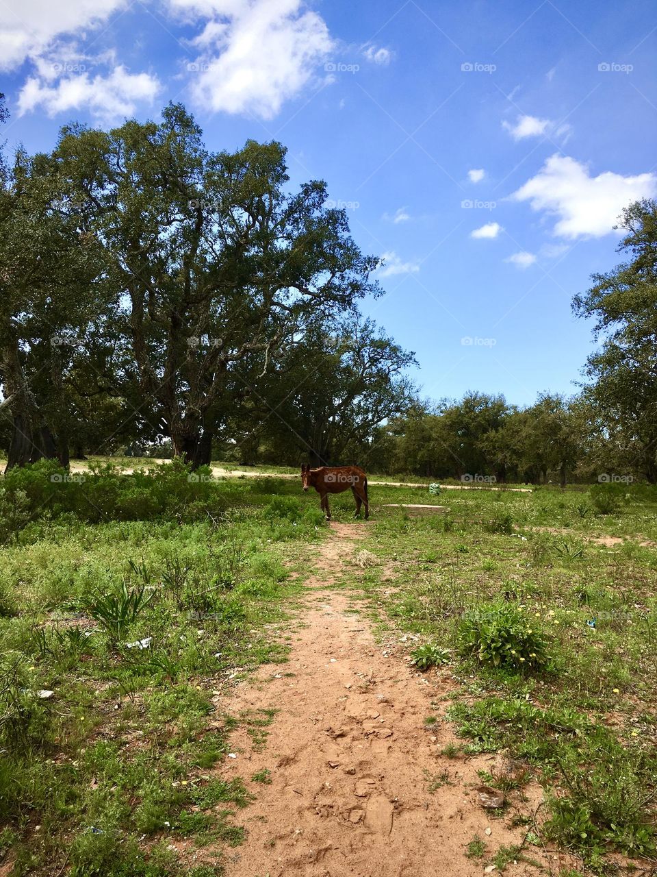 Hello it’s beautiful day 