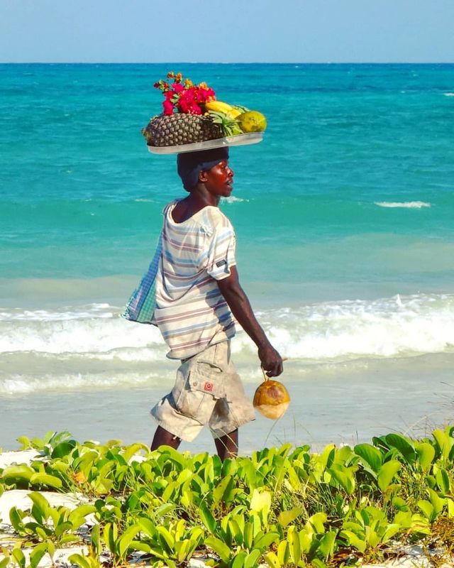 Fresh Fruits