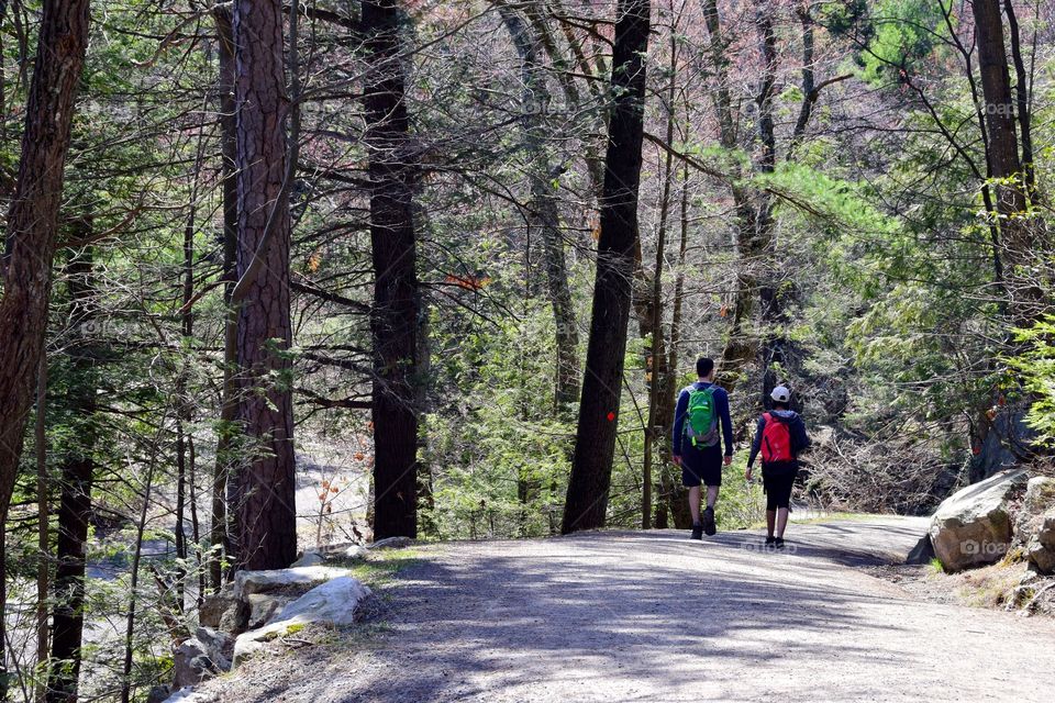 Hiking through the Catskills