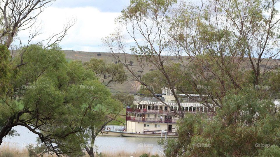 Murray Princess Paddlesteamer leisurely cruising along the Murray River