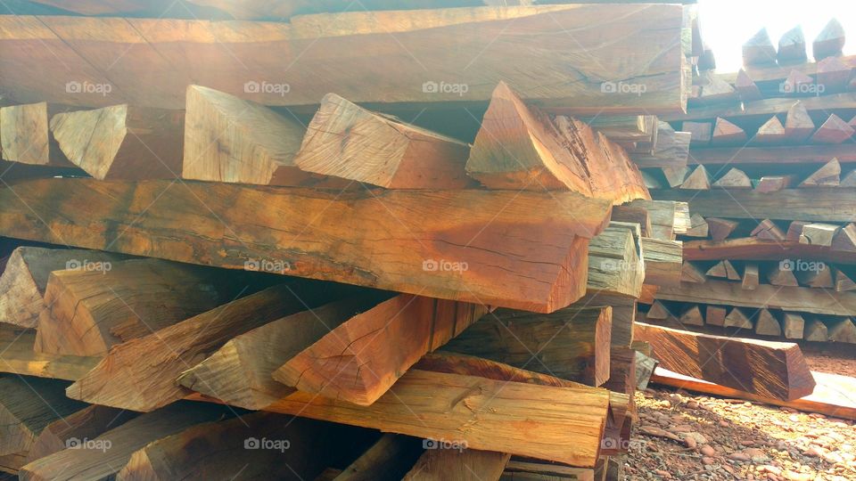 Lascas de madeiras. Paus pra currais e cercas.