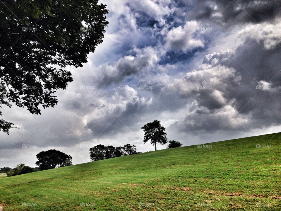 Field of green. Field of grass and a few trees and a sky with awesome clouds
