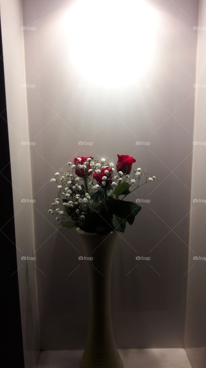 flower rose romantic gift petal red bouquet