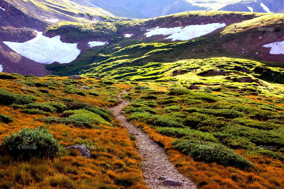 Footpath towards mountain in winter