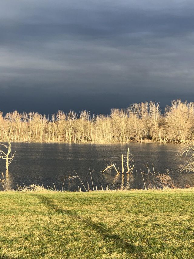 Dark Sky, Calm Pond