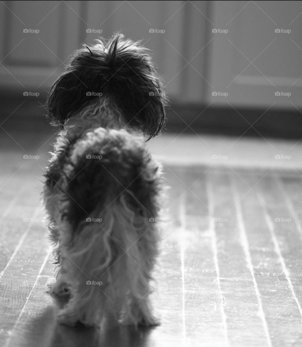 A simple photo that expresses loneliness and prolonged waiting.