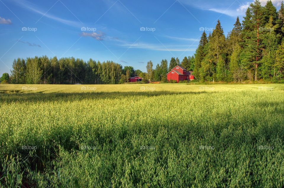 Red barn. 