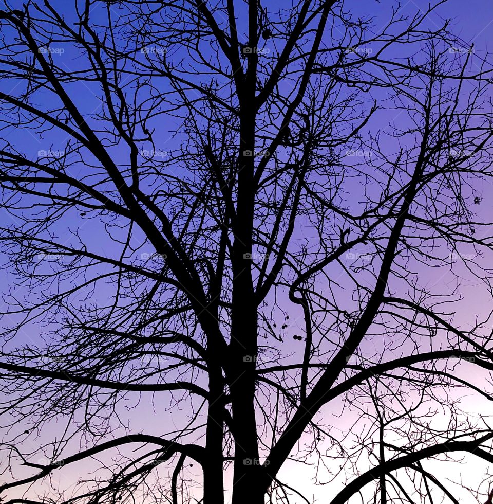 Magical sunset sky 🌄