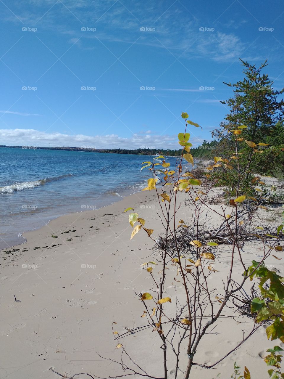 Lake Michigan beach