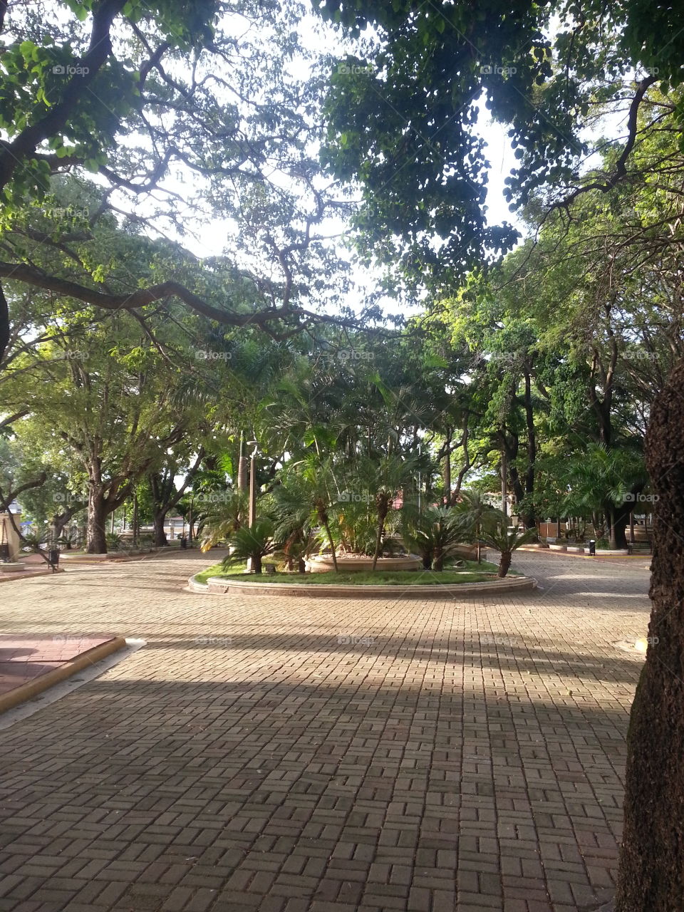 Park