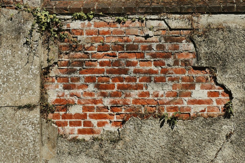 Bricks in the wall