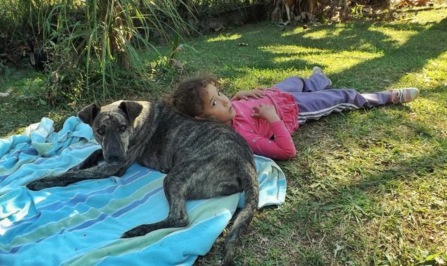 girl and pet dog