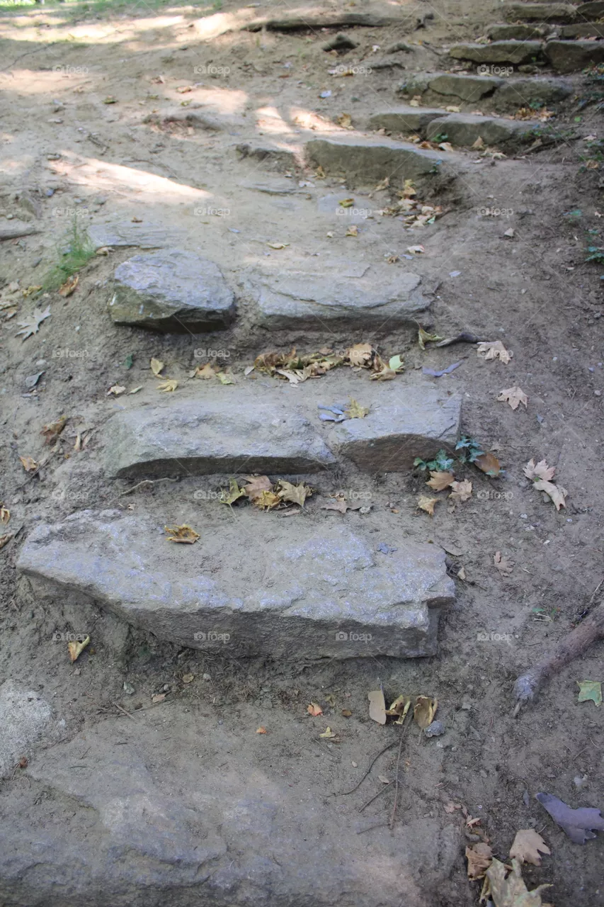 path in the park