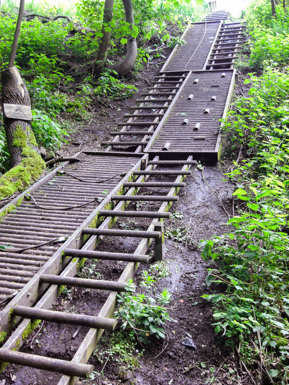 Wooden construction in the woods