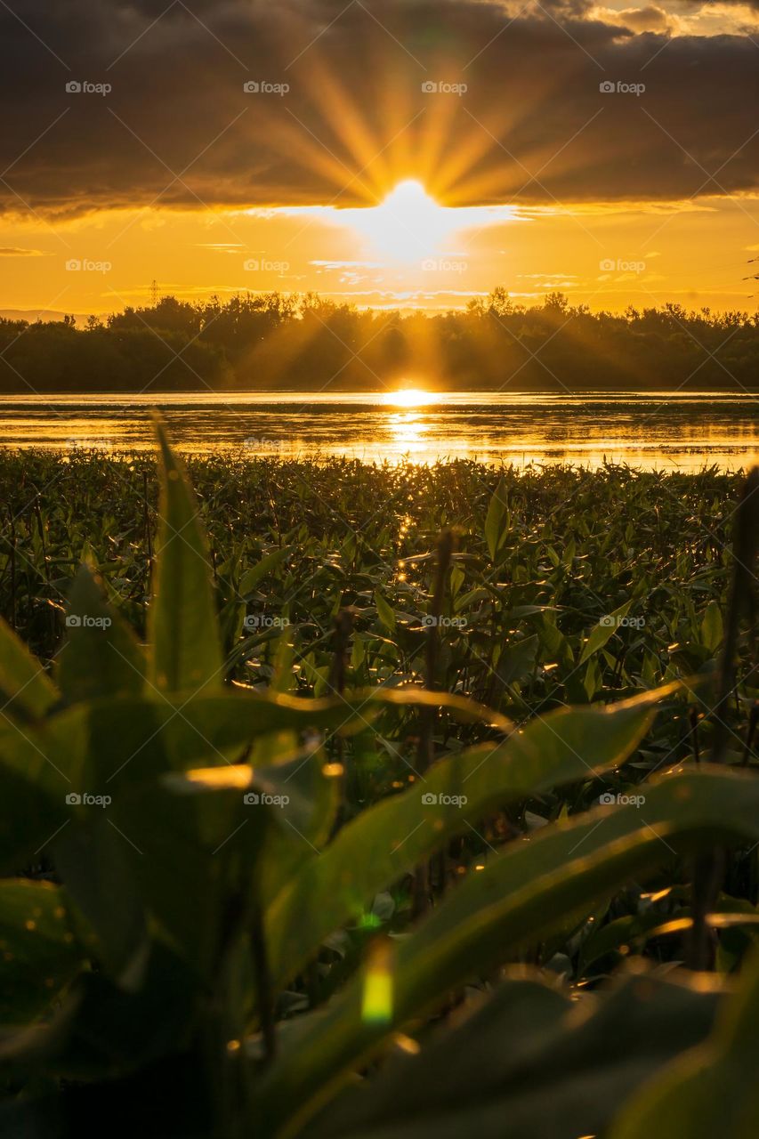 Sunset over the wetlands. 