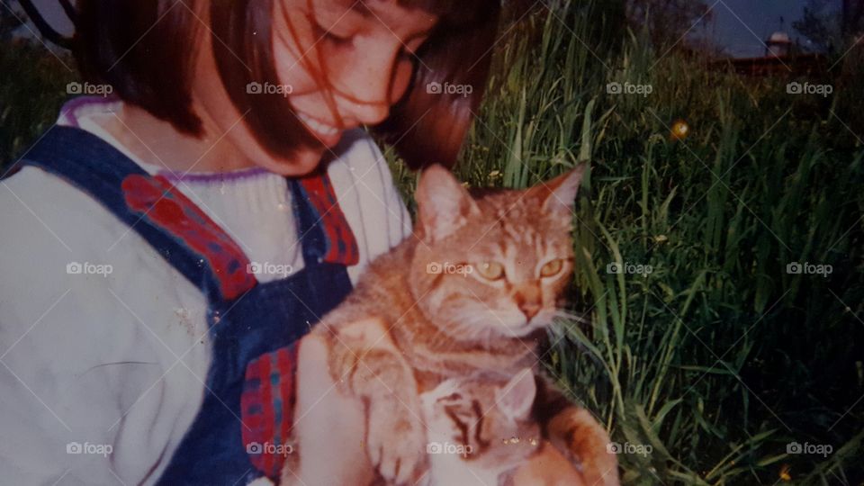 childhood. little girl holding cat