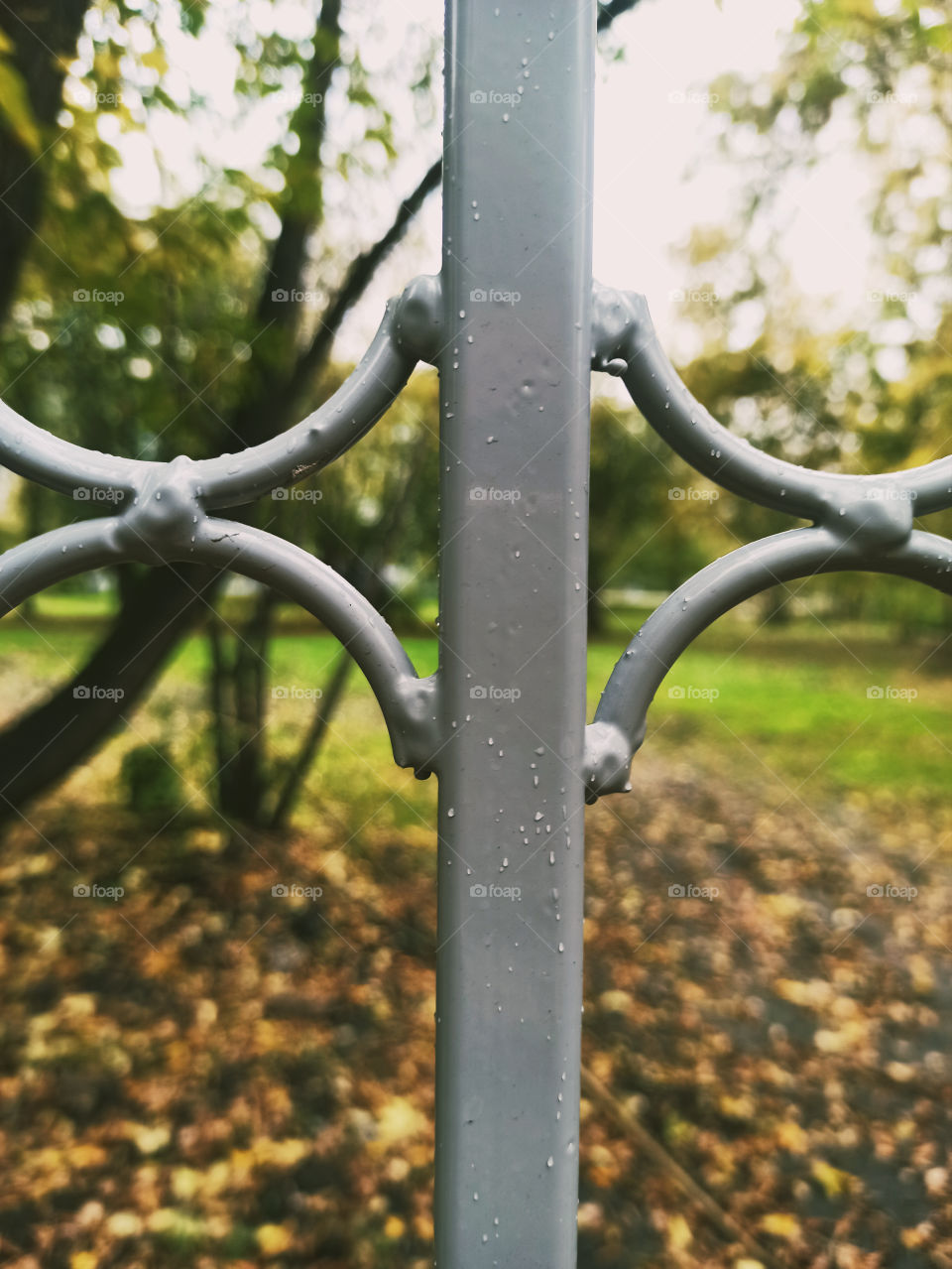 fence