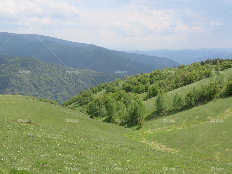 Mauntain Stolovi Serbia pasture elevations