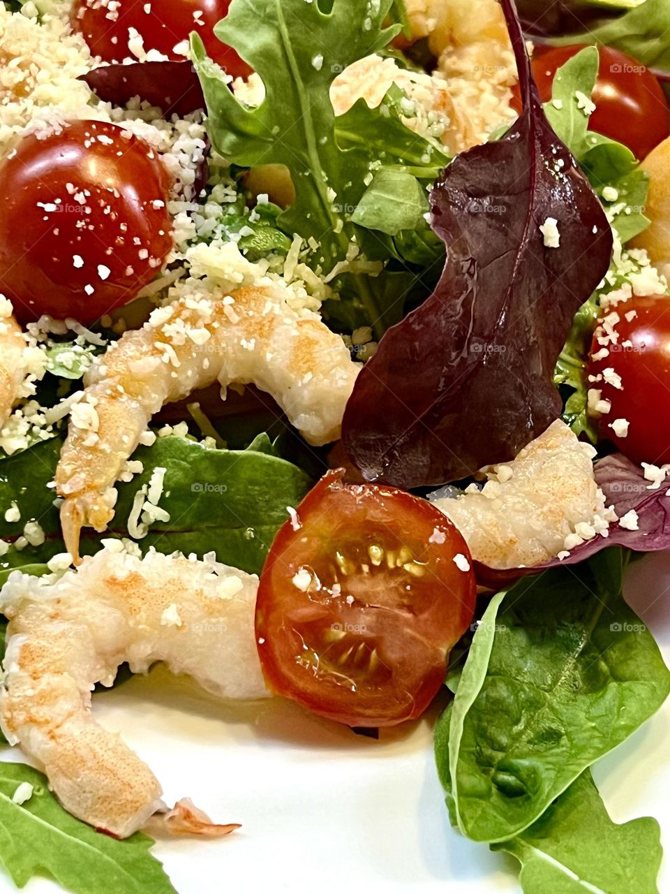 Salad with shrimp, arugula and tomatoes
