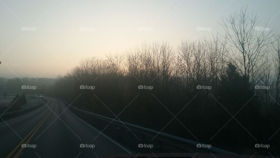 Road, Landscape, Fog, Tree, Light